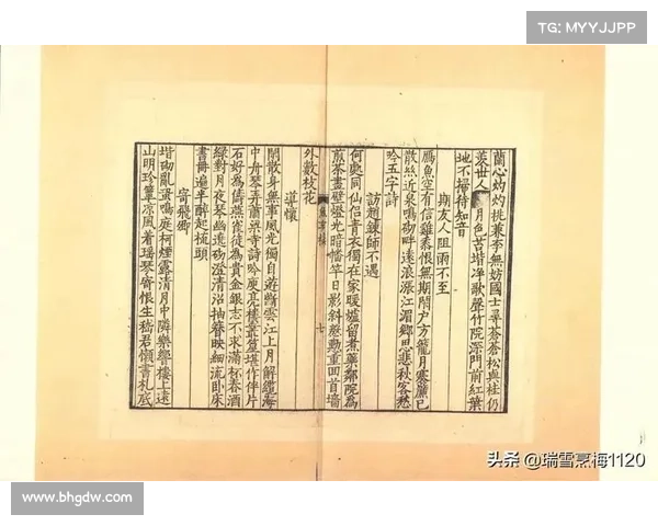 刚破藏机揭秘:探索破解过程与技术背后的玄机 刚破藏机揭秘:探索破解过程与技术背后的玄机